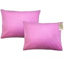 ZPECC Toddler Pillow with Pillowcase 2 Pack - 13x18 Organic Cotton Hypoallergenic Kids Pillow, Baby Essentials for Travel Crib Daycare Stroller (Intended for Age 2 and up) Pink Stripe