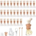 Zubebe 30 Pack Car Air Freshener Diffuser Bottles with Vent Clip, Heart