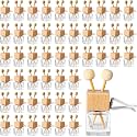 30 Pcs Empty Air Freshener Car Diffuser with Vent Clip, Clear