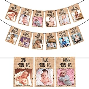 zyozique wild one baby photo banner - 12 months first year birthday decorations monthly garland brown